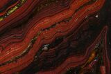 Polished Tiger Iron Stromatolite Slab - Billion Years #162099-1